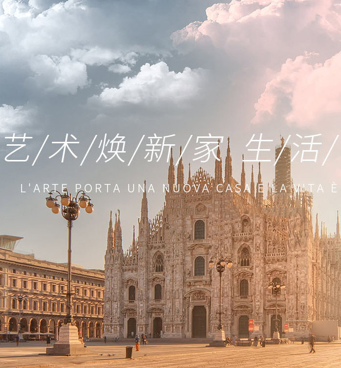 意大利纳卡尼进口艺术涂料03