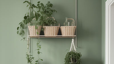 人地网红绿色系